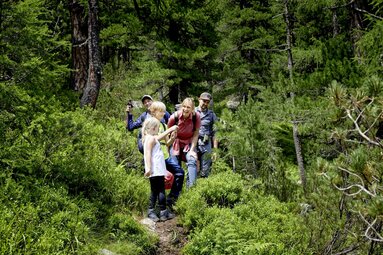 Familie wandert durch einen grünen Wald im Nationalpark Hohe Tauern. | © Ferienregion Nationalpark Hohe Tauern - Michael Huber