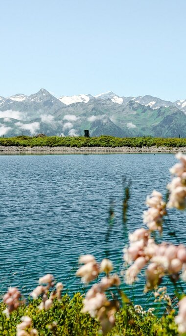 Blooming meadows overlooking a mountain lake surrounded by snow-capped peaks. | © Holiday Region National Park Hohe Tauern