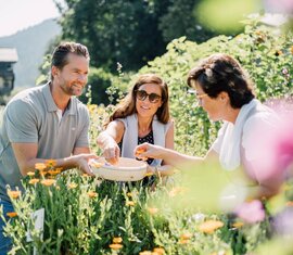 Drei Menschen pflücken bunte Blüten im Hollersbacher Kräutergarten und lernt über Heilpflanzen. | © Chris Perkles