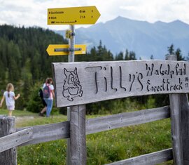 Wegschild von "Tilly's Waldpfad" mit Wanderern im Hintergrund in einer grünen Berglandschaft. | © Tourismusverband Rauris - Lukas Pilz