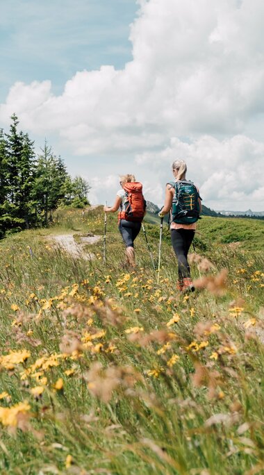  Zwei Frauen wandern durch eine Bergwiese voller Blumen mit Blick auf die umliegenden Berge. | © Chris Perkles