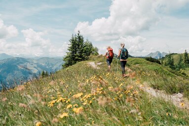  Zwei Frauen wandern durch eine Bergwiese voller Blumen mit Blick auf die umliegenden Berge. | © Chris Perkles