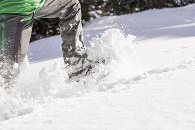 Schneeschuhwanderung | © Ferienregion Nationalpark Hohe Tauern - Branislav Rohal