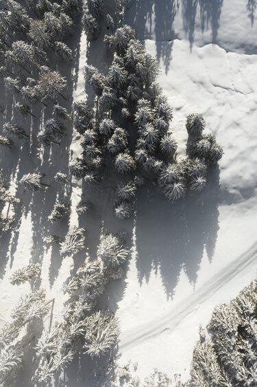 Luftaufnahme eines verschneiten Waldes | © Ferienregion Nationalpark Hohe Tauern - Innerhofer