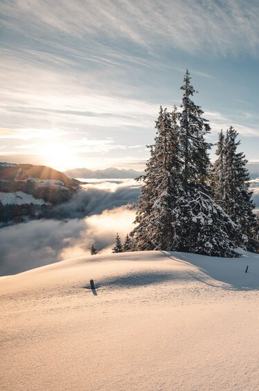 Winterlandschaft mit verschneiten Bäumen und Bergen im Sonnenuntergang. | © Ferienregion Nationalpark Hohe Tauern - Mathäus Gartner