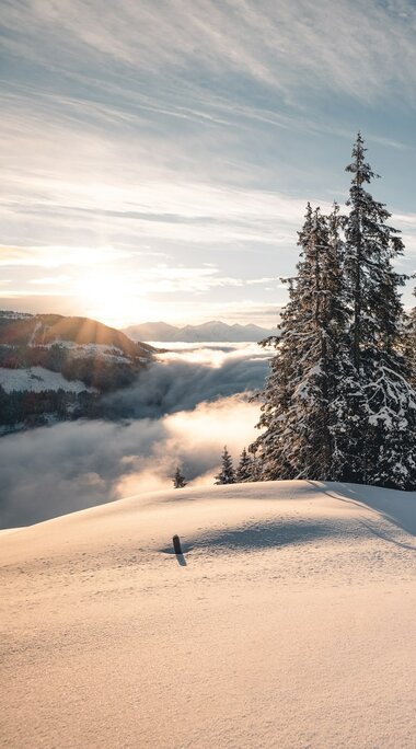 Winter landscape with snowy trees and mountains at sunset. | © Holiday Region National Park Hohe Tauern - Mathäus Gartner