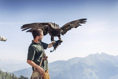 Falkner mit Adler auf der Hand, majestätischer Vogel vor alpiner Berglandschaft. | © Ferienregion Nationalpark Hohe Tauern
