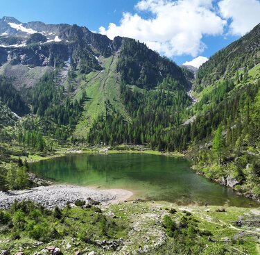 Schödersee in den Hohen Tauern mit Lärchenwald und alpinen Gipfeln. | © Tourismusverband Großarltal
