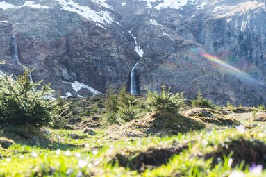 Wasserfall mit Regenbogen, umgeben von Moos, Tannen und schneebedeckten Felsen in der Ferne. | © Ferienregion Nationalpark Hohe Tauern