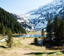 Malerischer See im Felbertal, eingerahmt von dichten Wäldern und schneebedeckten Bergen. | © Ferienregion Nationalpark Hohe Tauern