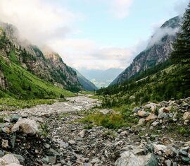 Steiniger Gebirgsbach in einer bewaldeten Schlucht mit Nebel im Hintergrund. | © Nationalpark Hohe Tauern - F.Rieder