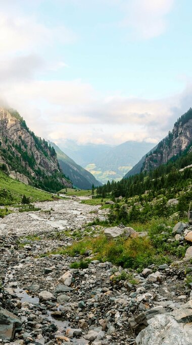 Steiniger Gebirgsbach in einer bewaldeten Schlucht mit Nebel im Hintergrund. | © Nationalpark Hohe Tauern - F.Rieder