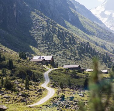 Ein geschwungener Weg führt zu einer Almhütte, umgeben von grünen Wiesen und steilen Hängen. | © Nationalpark Hohe Tauern - Szopory