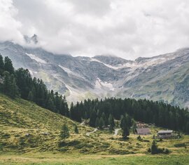 Bergpfad im Grünen, neben einem plätschernden Bach, mit Blick auf einen schneebedeckten Gipfel.  | © NPHT - Luke Goodlife 