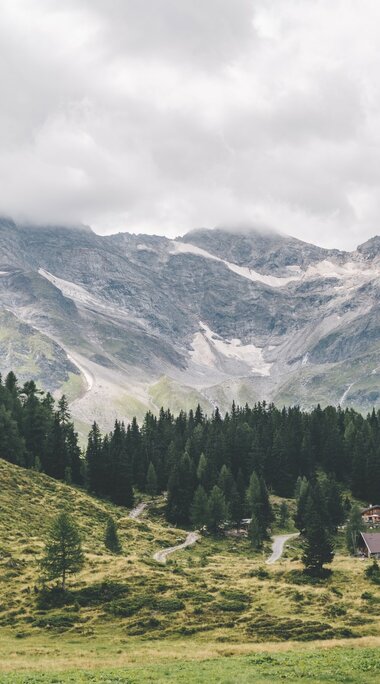 Bergpfad im Grünen, neben einem plätschernden Bach, mit Blick auf einen schneebedeckten Gipfel.  | © NPHT - Luke Goodlife 