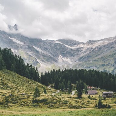 Mountain path in greenery, next to a babbling brook, with a view of a snow-capped peak. | © NPHT - Luke Goodlife 
