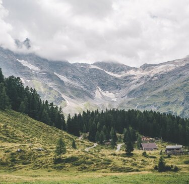 Bergpfad im Grünen, neben einem plätschernden Bach, mit Blick auf einen schneebedeckten Gipfel.  | © NPHT - Luke Goodlife 