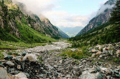 Weitläufiges Tal mit grünen Hängen, von Nebel und Bäumen umrahmt. | © Ferienregion Nationalpark Hohe Tauern
