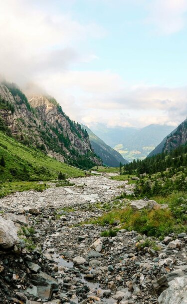 Expansive valley with green slopes, framed by mist and trees. | © Holiday Region National Park Hohe Tauern