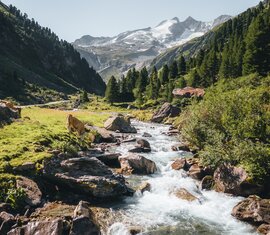 Kuh am Bach im Wildgerlostal mit Blick auf Gletscher. | © Ferienregion Nationalpark Hohe Tauern - Daniel Kogler